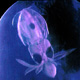 SexVideoContent's Avatar