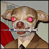 Dutchie79's Avatar