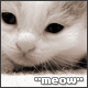 thecat's Avatar