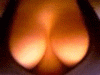 ZatCJTraffic's Avatar